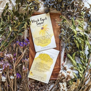 Black Eyed Susan Flower Seeds