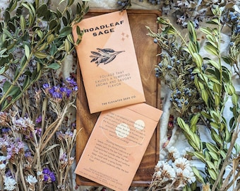 Sage Seeds | Heirloom Open-Pollinated Culinary Herb Seeds for Planting | Easy Grow Garden Herb Seeds