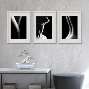 Op de afbeelding: Drie ingelijste zwart-wit kunstprints. De prints tonen abstracte lichaamsdelen, waaronder een been, nek en rug. Een bonsai-boom in een witte pot staat op een tafel onder de prints. Rechts staat een grijze poef.