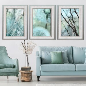 May include: Three framed prints featuring nature-inspired imagery. The left print shows a spiderweb with dew drops, the middle print depicts a dandelion with a soft blue background, and the right print features willow branches with buds.