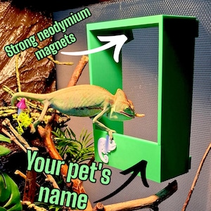 Lizards Magnetic Feeder – terrarium feeder, chameleon, bearded dragon, gecko, feeder with Magnet Mounting, physical product, Your pet&#39;s name