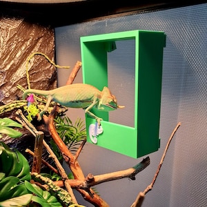 May include: A green chameleon perches on a branch near a bright green, rectangular feeder. The feeder has a small, white chameleon-shaped decoration. The background includes a mesh wall, artificial plants, and a light fixture.