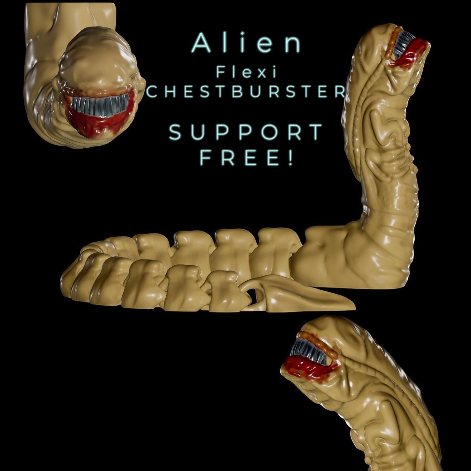 Chestburster - Etsy 日本