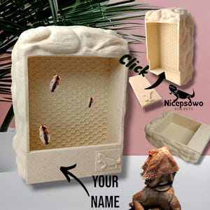 Natural Feeder for Bearded Dragon, Rock, Gecko, Chameleon. LOGO, without glue, just click. PHYSICAL PRODUCT