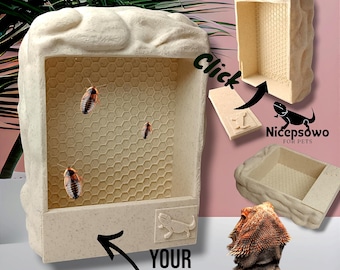 Comedero Natural para Dragón Barbudo, Roca, Gecko, Camaleón. LOGOTIPO, sin pegamento, solo haga clic. ¡ARCHIVO STL!