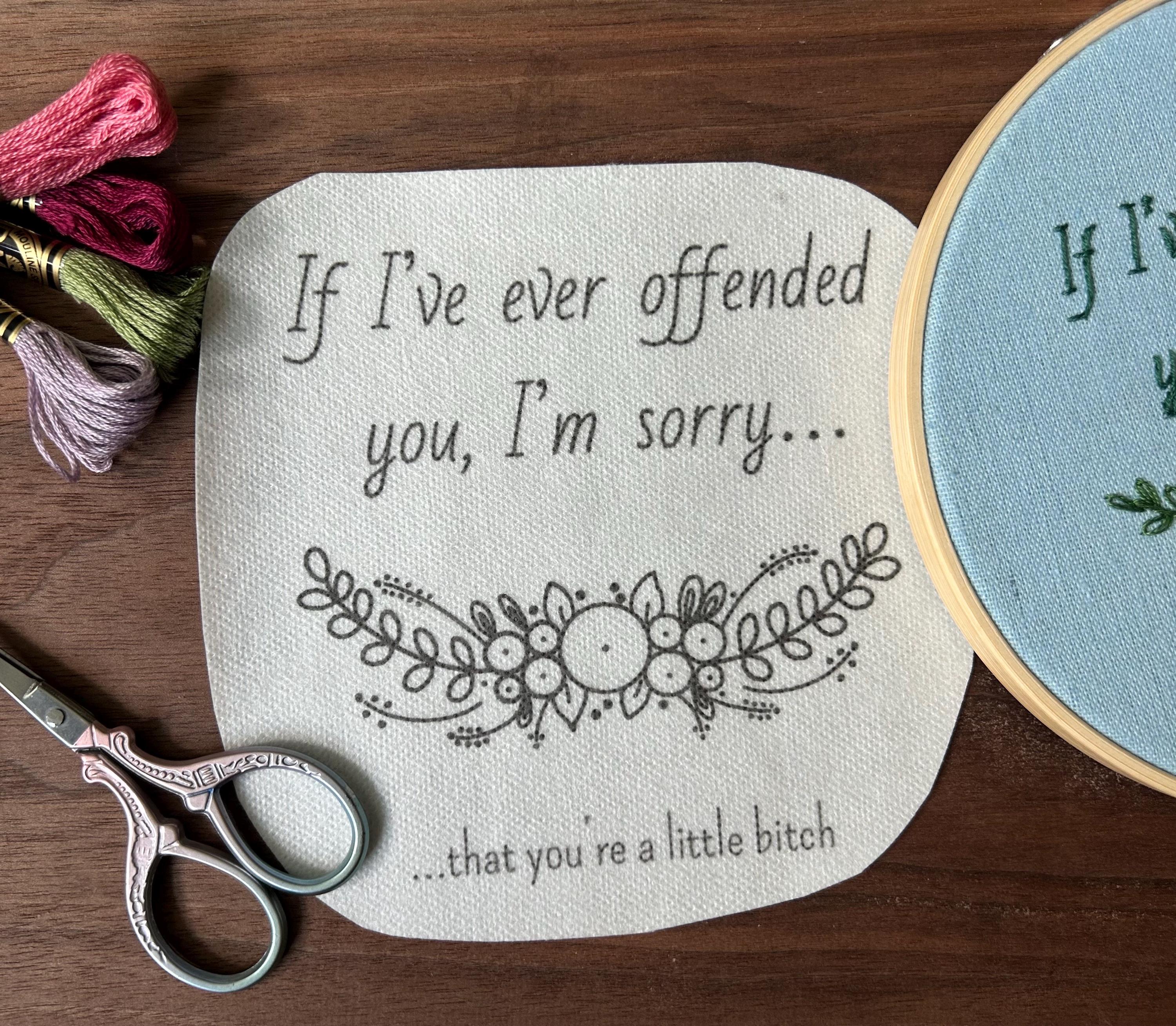 Snarky Hand Embroidery Pattern: 'sorry...you're a Little B**ch' Stick ...