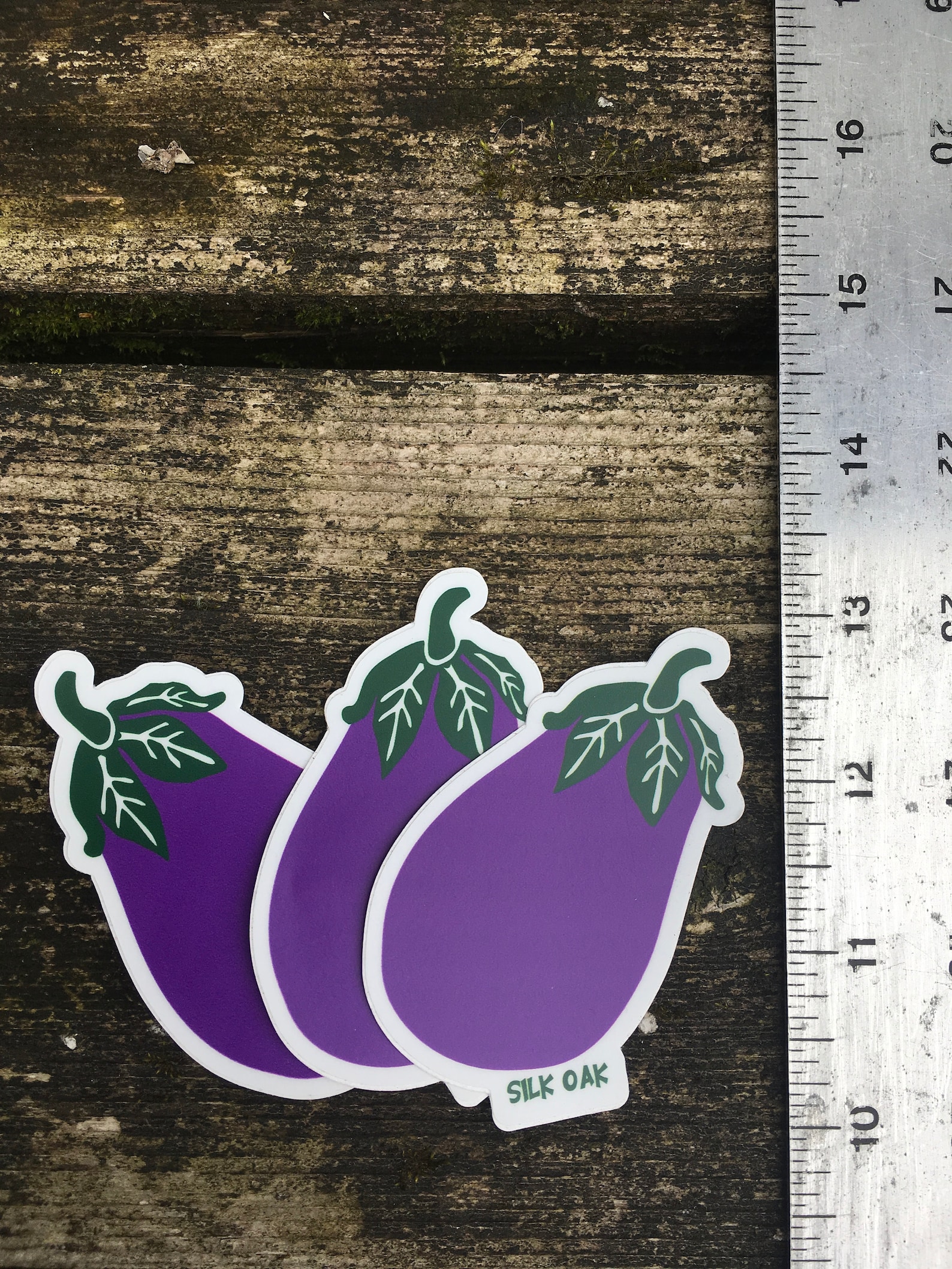 Diecut Purple Eggplant Sticker Set of 3 Perfect for Laptop Etsy
