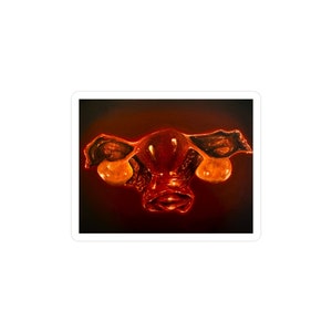 Uterus Sticker, Realistic Anatomical Medical OBGYN Surgical Gore Art Gift