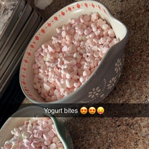 Freeze Dried Yogurt Bites- vanilla and strawberry banana