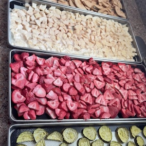Puede incluir: Vista superior de varias bandejas llenas de frutas y verduras deshidratadas. Las bandejas contienen fresas, manzanas, pepinillos y otros productos cortados en rodajas. Los colores varían del rojo y rosa al beige y verde.