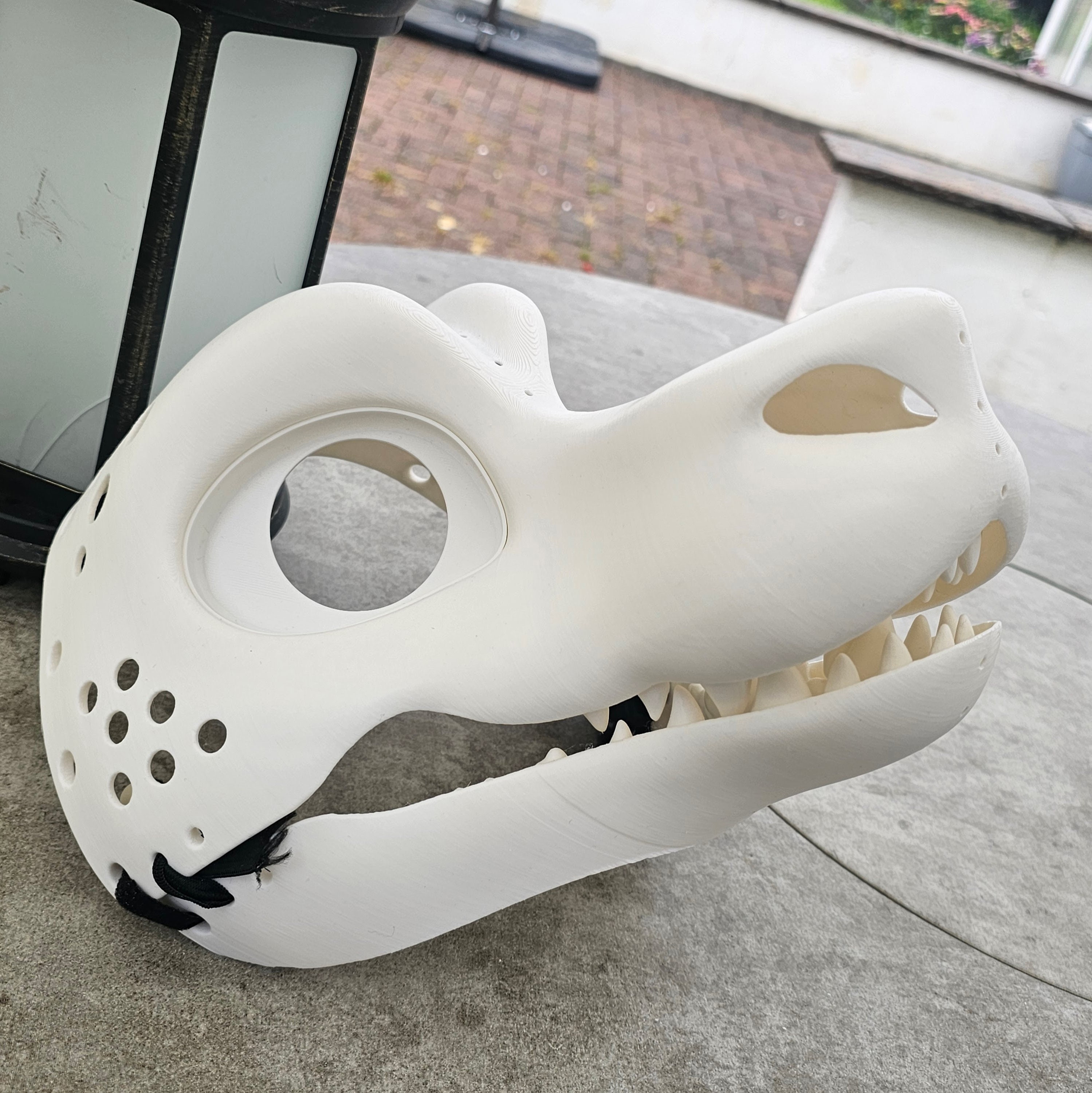 邦楽 MASCHERA - DRAGONHEADS DRAGONTAILS 邦楽 MASCHERA - DRAGONHEADS DRAGONTAILS 邦楽 MASCHERA