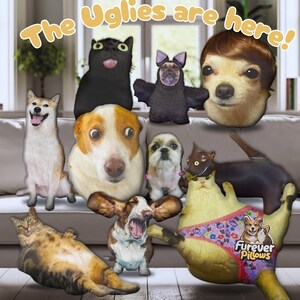 Oreiller moche personnalisé pour chat/chien - Oreiller 3D personnalisé en forme d'animal de compagnie à partir d'une photo | Cadeau loufoque pour amoureux des animaux de compagnie