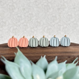 May include: Six small pumpkin-shaped stud earrings arranged in a row. The set includes two peach-coloured, two sage green, and two light blue pumpkins, each featuring vertical ridges and a small metallic gold-toned stem at the top centre.