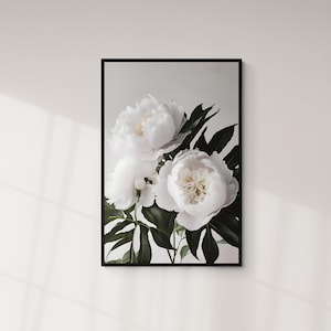 Weiße Pfingstrose Blumenkunst, Blumenmarkt, schwarze und weiße Blumen, abstraktes Design, Henri Matisse Stil Kunst, Botanischer Garten druckbare Kunst