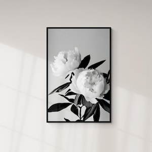 Weiße Pfingstrose Blumenkunst, Blumenmarkt, schwarze und weiße Blumen Abstraktes Design, Henri Matisse Stil Kunst, Botanischer Garten druckbare Kunst