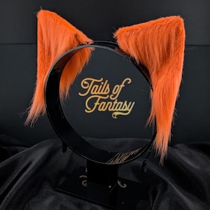 Uszy kota w kolorze mandarynki