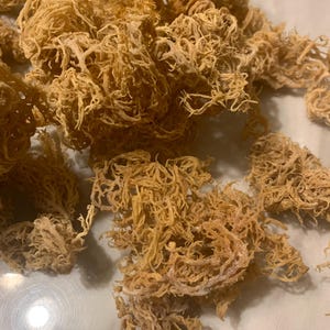 Gold Raw Sea Moss, Caribbean origin, Free Shipping, 4oz