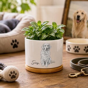 Puede incluir: Una maceta cilíndrica de cerámica blanca con base de madera, que presenta un dibujo lineal negro de un perro Golden Retriever y el nombre Sunny impreso en cursiva. La maceta contiene una pequeña planta verde de follaje texturizado.