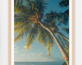 Hawaii wall art, beach wall decor, tropical photography print palm tree