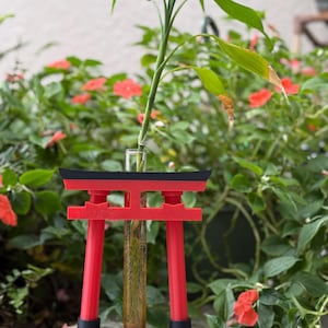 Puede incluir: Un soporte para plantas de torii rojo y negro con un tubo de ensayo de vidrio transparente que contiene una planta verde con raíces.