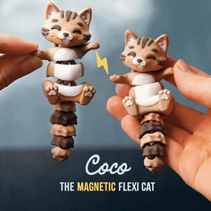 Coco die Flexi-Katze