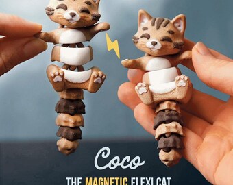 Coco the Flexi Cat