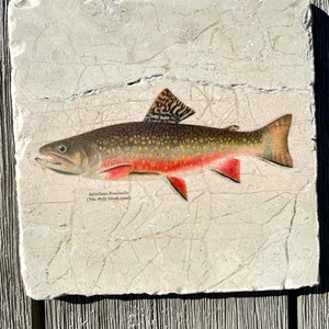 Marble trivet - Vintage Brook Trout