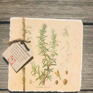 May include: A beige marble trivet with a vintage botanical illustration of rosemary, featuring the text "Rosmarinus officinalis L." and "Labiatae". The trivet is made by a local artist and is a functional piece of art.