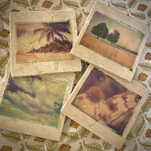May include: Four square stone coasters with different vintage photographs. The coasters feature a palm tree on a beach, a field with trees, a cloudy sky, and a close-up of a flower.
