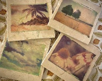 Marble trivet - Pick one photo transfer - Tulum, Trees, Clouds or Echinacea