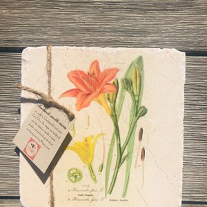 May include: A handmade marble trivet with a vintage botanical illustration of a lily flower. The trivet is made by Cary Olivs and features the text "Handmade marble trivets" and "Cory Olivs. The images were transferred onto the butchering marble to create durable and functional pieces of art. www.bycary.com/cary@bycary.com".