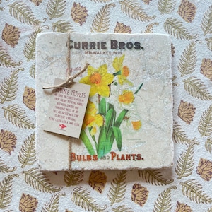 May include: A set of two marble trivets with a vintage floral design featuring daffodils. The trivets are made from Italian Botticino marble and are backed with cork to prevent scratching. The trivets are labeled "Currie Bros. Milwaukee, Wis." and "Bulbs and Plants."