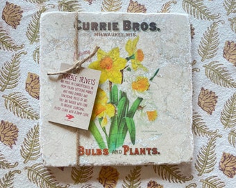 Marble trivet - Vintage Currie Bro. daffodils illustration