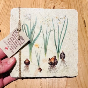 May include: Square marble trivet featuring a botanical illustration of daffodils with green stems and white and yellow flowers. The trivet has a cork backing and is tied with twine. The text on the tag reads "Marble Trivets".