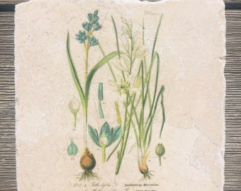 Marble trivet - Vintage Blue Squill