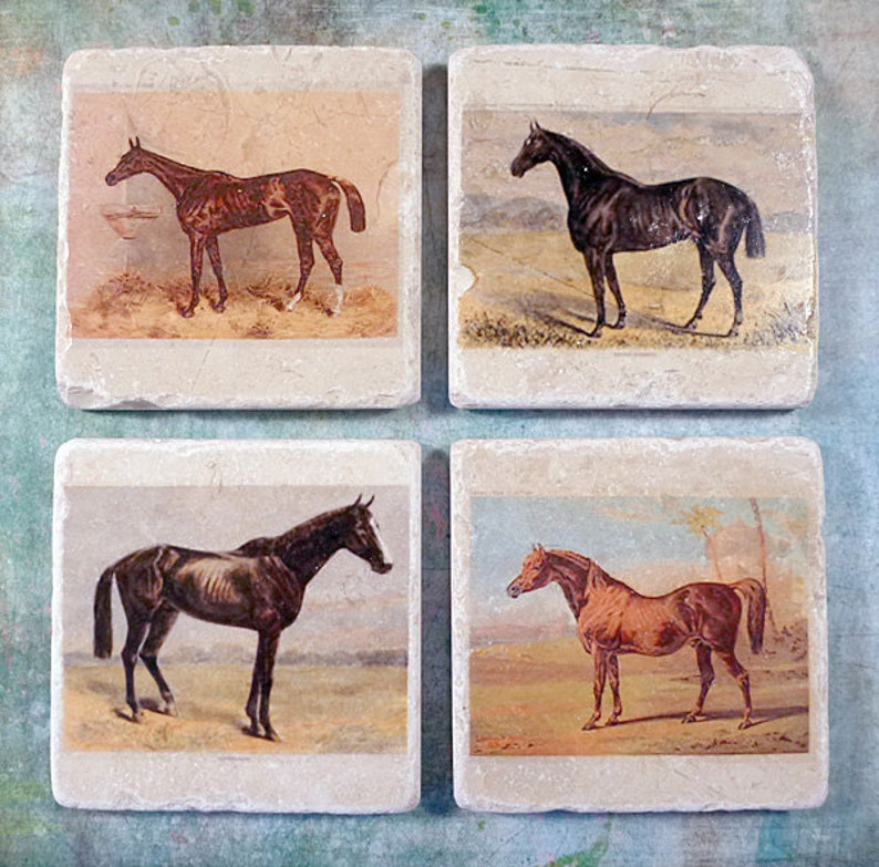 May include: Set of four square coasters featuring vintage illustrations of horses in various poses. Each coaster is made of natural stone with a light brown color and a rough texture.