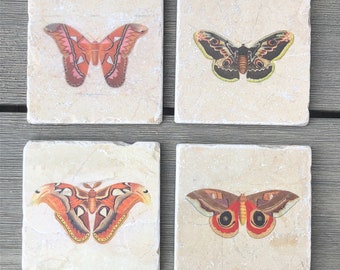 Marble coasters - Vintage moths