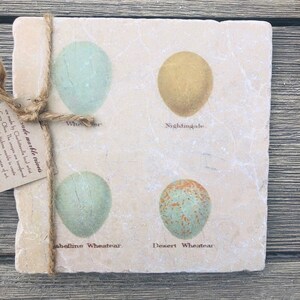 May include: A set of four coasters featuring illustrations of bird eggs. The coasters are made of marble and feature the names of the birds: Nightingale, Wheatear, Desert Wheatear, and Isabelline Wheatear.