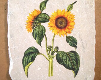 Marble trivet - Vintage Sunflower #2 - Hans Simon Holtzbecker