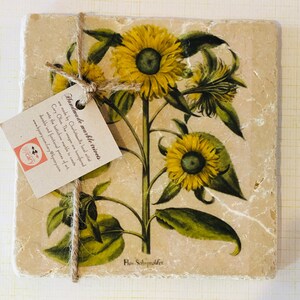 May include: Handmade marble trivets featuring a botanical illustration of sunflowers with green leaves on a beige background. The trivets are made by Charlottesville local artist Cary Oliva. The text "Handmade marble trivets are made by Charlottesville local artist Cary Oliva. The images are transferred onto the bottichina marble to create durable and functional pieces of art. www.bycery.com/cary@bycery.com" is printed on a tag attached to the trivets.