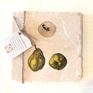May include: Handmade marble trivet with a vintage illustration of pears and a star anise. The trivet is made by Cory Olive in Charlottesville, Virginia.