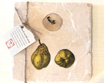 Marble trivet - Vintage Pears