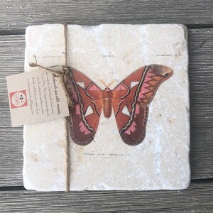May include: Handmade marble trivet featuring a vintage illustration of a pink and orange butterfly with white accents. The trivet is made by Charlottesville local artist Cory Olive. The text "Handmade marble trivets are made by Charlottesville Local artist Cory Olive. The images are transferred onto the bottichino marble to create durable and functional pieces of art. www.bycorp.com/ory@bycerycom" is printed on the trivet.