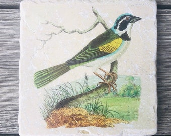 Marble trivet - Vintage Silent Tanager