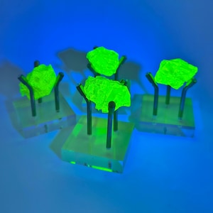 May include: Four fluorescent green mineral specimens displayed on clear acrylic stands with metal supports. The specimens have a rough, textured surface and are illuminated against a blue background.