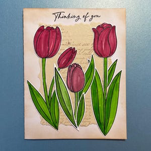 Tulipa vermelha com cartão de simpatia, pensando em você, luto, perda, animal de estimação, ente querido, luto, família, amigo, colega de trabalho, parente, desculpe, tristeza
