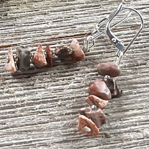 May include: A pair of earrings with a silver hook and a chain of red, brown, and black stones.