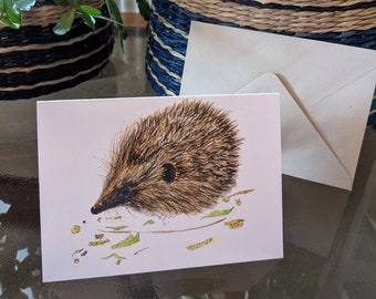 Hedgehog greetings card 7”x5” – blank inside