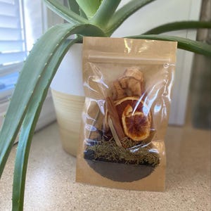 May include: A brown paper bag with a clear plastic window, containing a tea blend with dried fruit, spices, and herbs. The bag is sitting on a table next to a potted aloe vera plant.