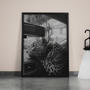 Panther in the Car Print, Cheetah Poster, Black and White Wall Art, Vintage Photography, Fashion Print